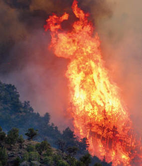 Wildfires scorch Western U.S.